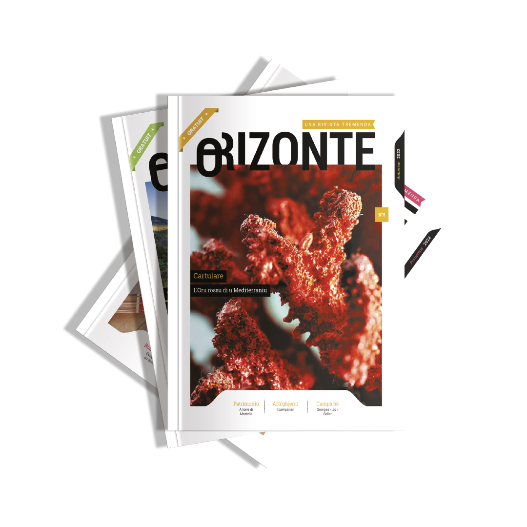 Magazine Orizonte